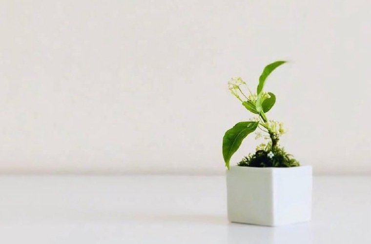 咸宁工业学校有什么专业?有机械加工技术专业吗?