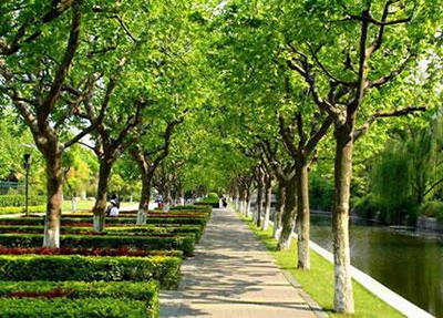2023年读高星级饭店运营与管理专业选择湛江哪所中专学校比较好
