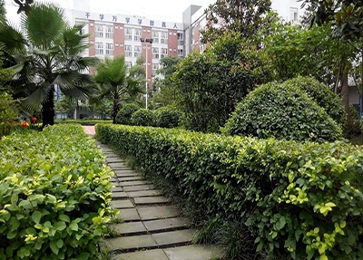 广州2023年读幼儿教育专业哪所学校好
