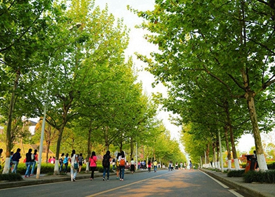 2023年河南汽车运用与维修技术（小轿车）专业中专学校推荐 哪所学校好