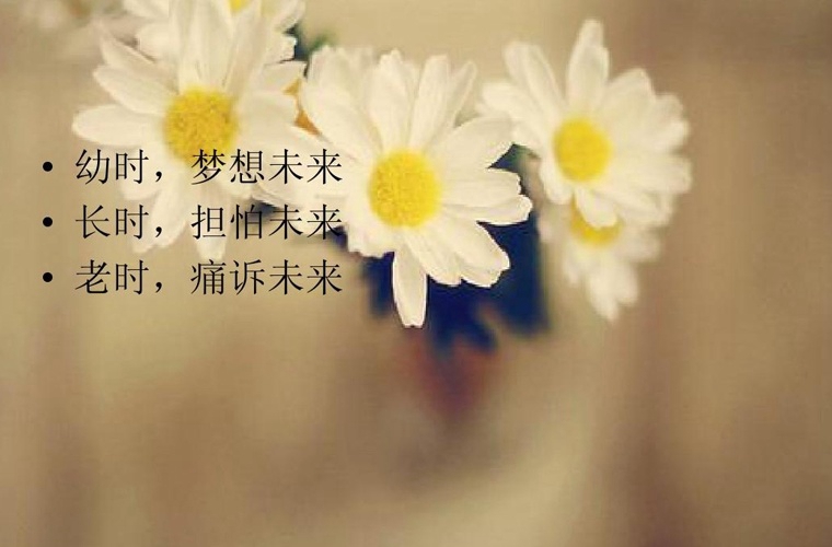 澄城职业教育中心地址在哪里