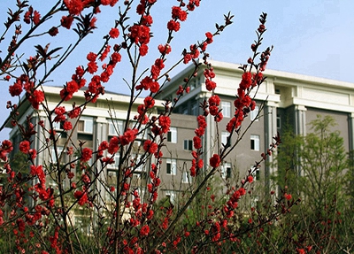 贵阳第五职业学校有什么专业?有学前教育专业吗?