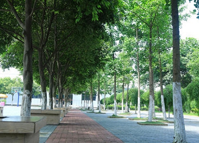 诸暨技师学院有染整技术专业吗?