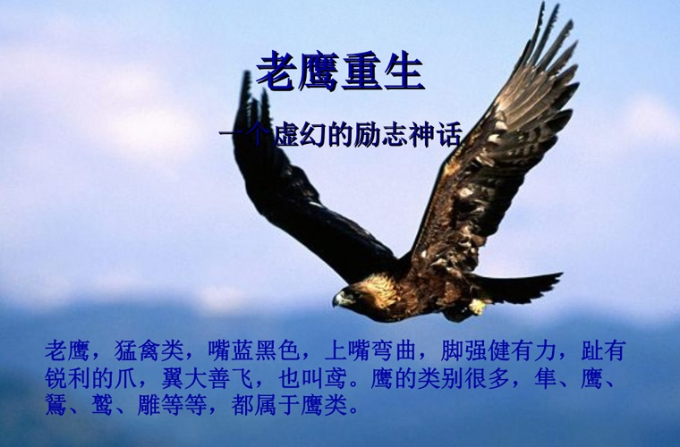 2023年深圳幼儿教育专业技工学校哪所好