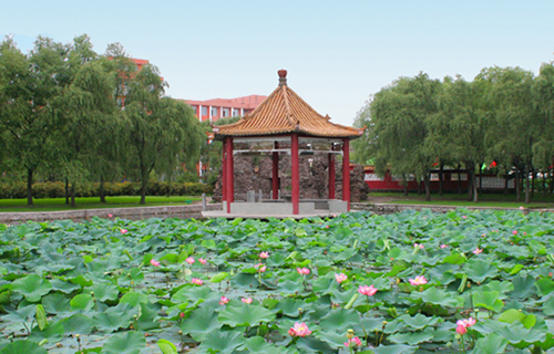 临夏卫生学校怎么样 口碑好不好