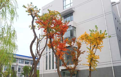 临夏农业学校怎么样 学校实力如何