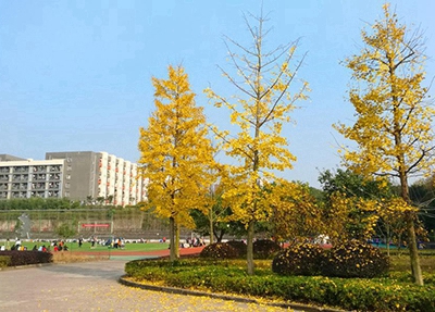 南阳2023年读电子与信息技术专业去哪所学校好