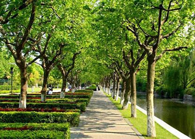 商丘2023年初中生读计算机应用专业有哪些学校