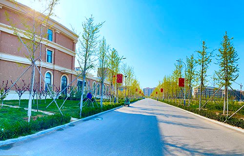 烟台黄金职业学院靠谱吗 学校实力如何