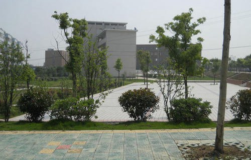 合肥汽车机械技术学校2023年招生专业
