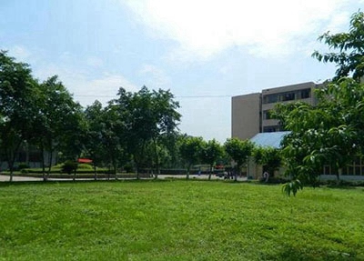 广东哪些学校开设有社会文化艺术(幼儿教育方向)专业