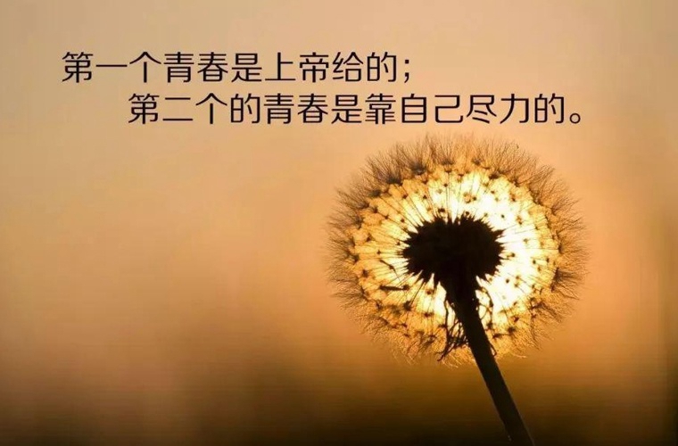 中山2023年有哪所学校有电子电器应用与维修专业