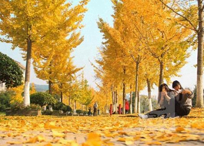 保定2023年读电子商务专业哪所学校好