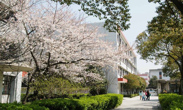 2023年室内艺术设计专业济南哪个中专学校好