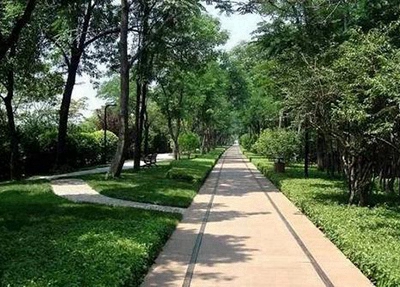 梧州2023年读电脑平面艺术设计专业去哪所学校好