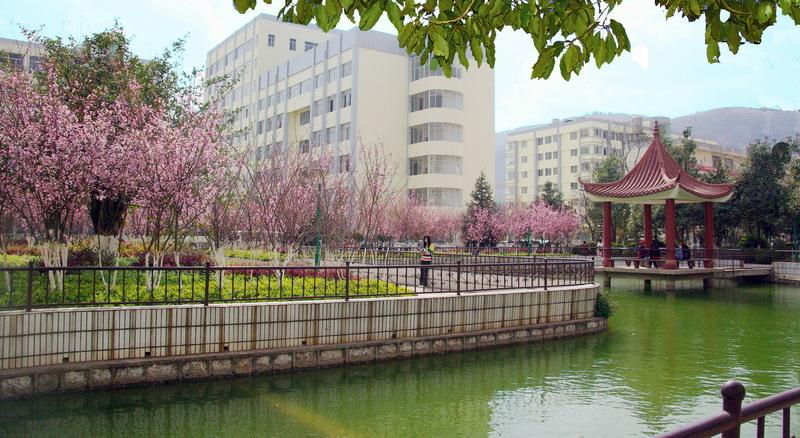云南科技信息职业学院五年制大专怎么样 学校风气好不好