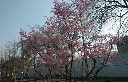 阳泉文化艺术学校属于什么办学层次