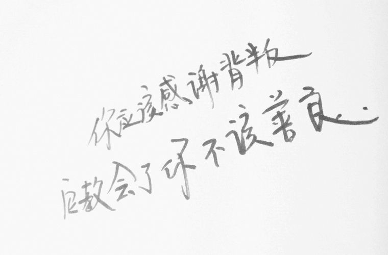 漯河市第二中等专业学校有哪些专业?有电子商务专业吗?