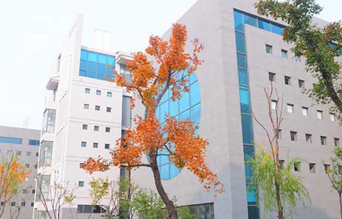 临沂市劳动局第二技工学校怎么样 口碑好不好