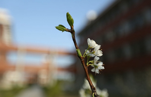 菏泽市第二职业高中靠谱吗 教学质量如何