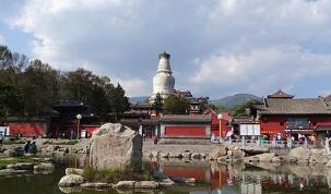 忻州五台山职业中学评价好不好 环境怎么样